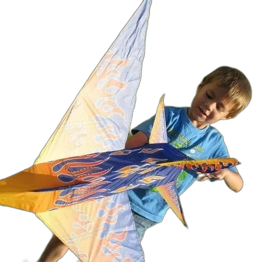 umbrella, weapon, dragon, staff transparent PNG cut-out