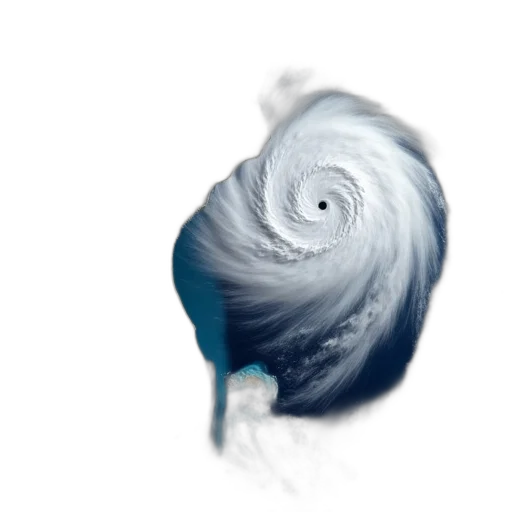 hair, umbrella, animal, creature transparent PNG cut-out