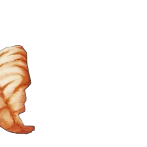 hair, food, shoes, creature transparent PNG cut-out