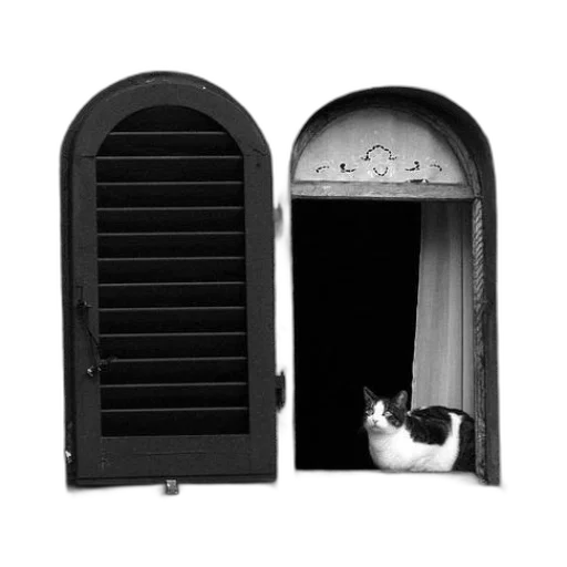 furniture, animal, photorealistic, 3d render transparent PNG cut-out