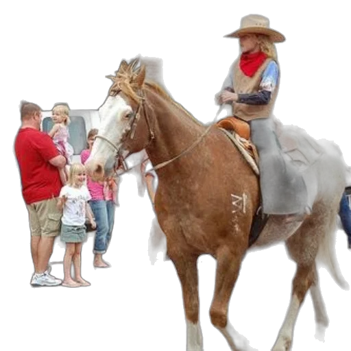 photorealistic, person, riding, horse transparent PNG cut-out