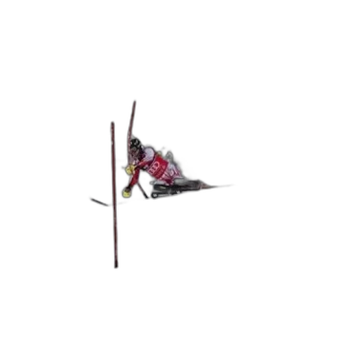staff, sword, flower, weapon transparent PNG cut-out
