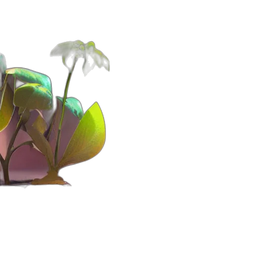 crown, flower, dragon, tree transparent PNG cut-out