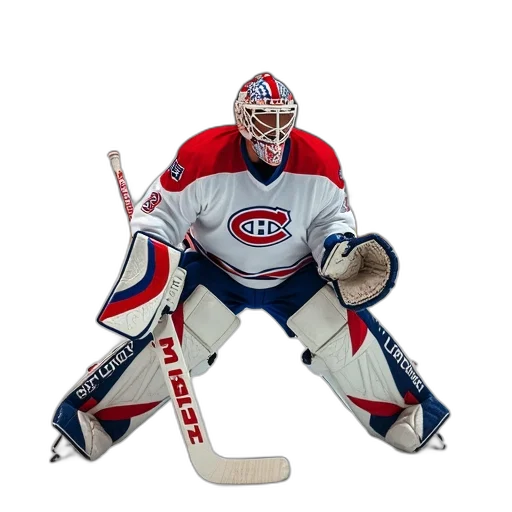 animal, mask, person, goaltender transparent PNG cut-out