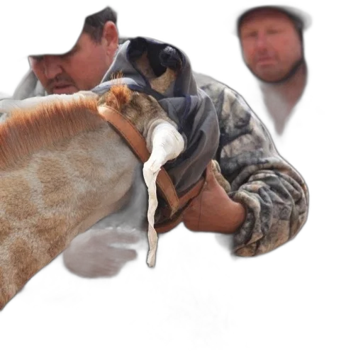 animal, creature, hat, weapon transparent PNG cut-out