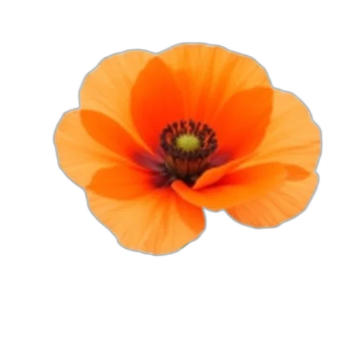 flower, crown, hat, dress transparent PNG cut-out