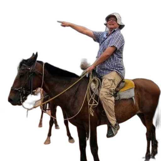 animal, staff, hat, weapon transparent PNG cut-out