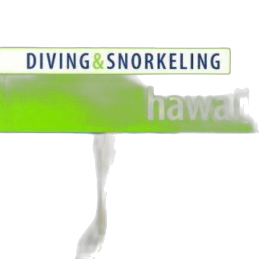 concept art, 3d render, underwater, fog transparent PNG cut-out