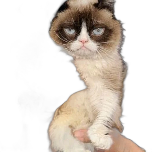 staff, animal, creature, photorealistic transparent PNG cut-out