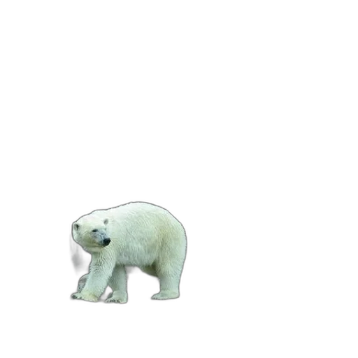 animal, creature, robot, car transparent PNG cut-out