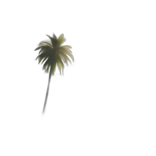 tree, umbrella, hair, staff transparent PNG cut-out