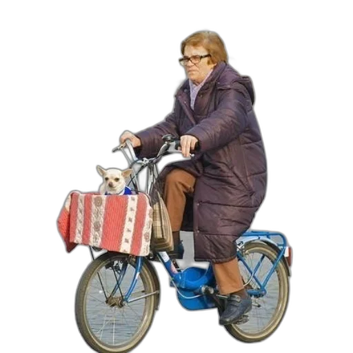 jacket, animal, car, creature transparent PNG cut-out