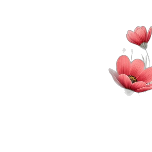 flower, jewelry, crown, furniture transparent PNG cut-out