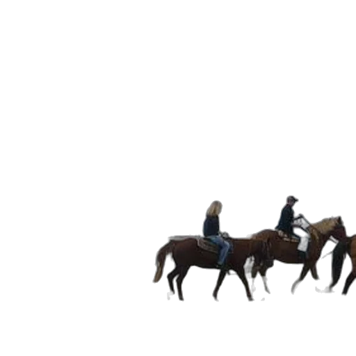 animal, staff, weapon, hat transparent PNG cut-out