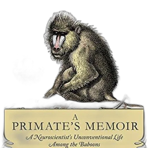 primate, memoir, neuroscientist, unconventional transparent PNG cut-out
