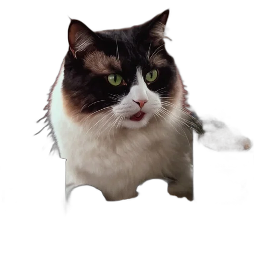 animal, creature, staff, face transparent PNG cut-out