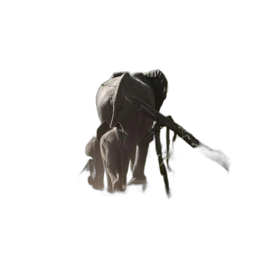 creature, animal, mask, hat transparent PNG cut-out