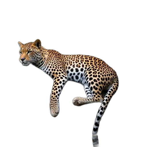 animal, creature, staff, jewelry transparent PNG cut-out