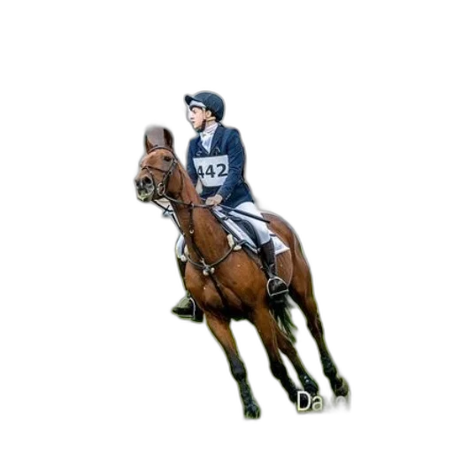 animal, photorealistic, pixel art, rider transparent PNG cut-out