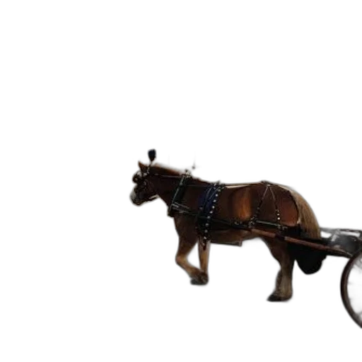 weapon, staff, animal, furniture transparent PNG cut-out