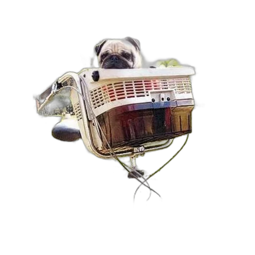animal, hat, robot, car transparent PNG cut-out