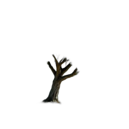 tree, hair, creature, animal transparent PNG cut-out