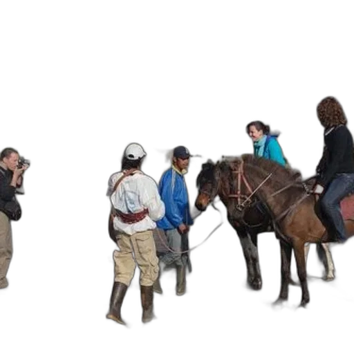 staff, group, people, including transparent PNG cut-out