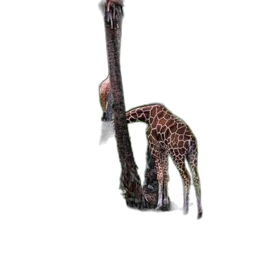 animal, creature, staff, weapon transparent PNG cut-out