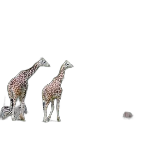 animal, jewelry, creature, concept art transparent PNG cut-out