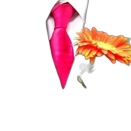 flower, jewelry, umbrella, staff transparent PNG cut-out