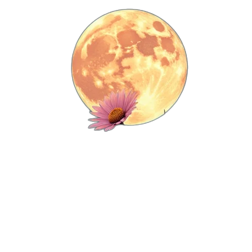 creature, flower, dragon, animal transparent PNG cut-out