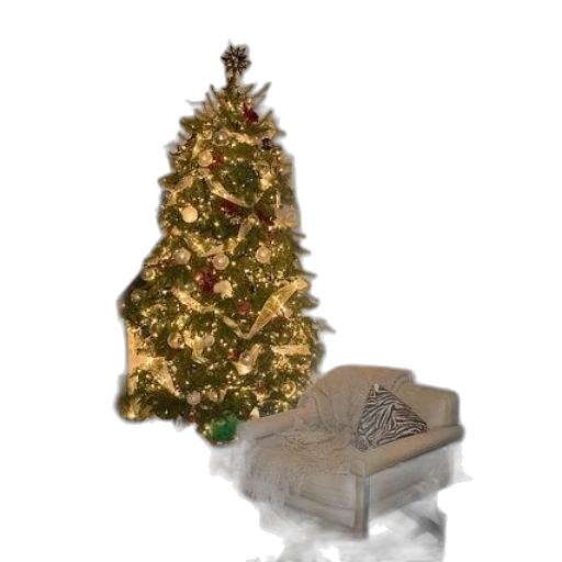 tree, furniture, hat, crown transparent PNG cut-out