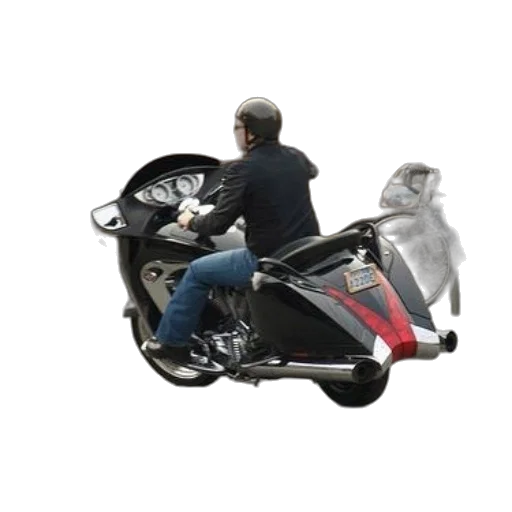 animal, creature, jacket, photorealistic transparent PNG cut-out