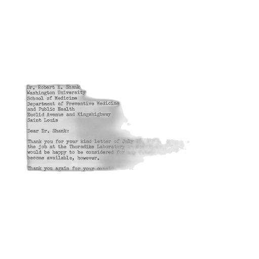 fog, monochrome, dark, earth tones transparent PNG cut-out