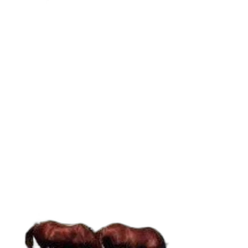 hair, staff, animal, creature transparent PNG cut-out