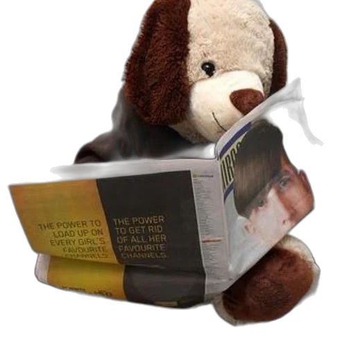 stuffed, dog, reads, magazine transparent PNG cut-out