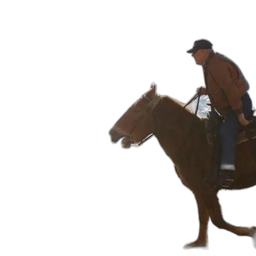 animal, staff, concept art, photorealistic transparent PNG cut-out