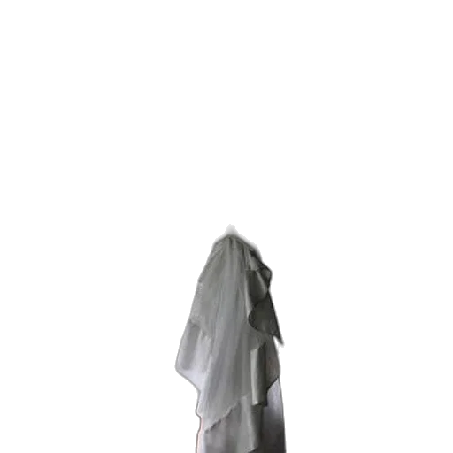 dress, jacket, mask, staff transparent PNG cut-out