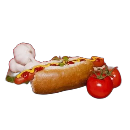 food, animal, creature, car transparent PNG cut-out