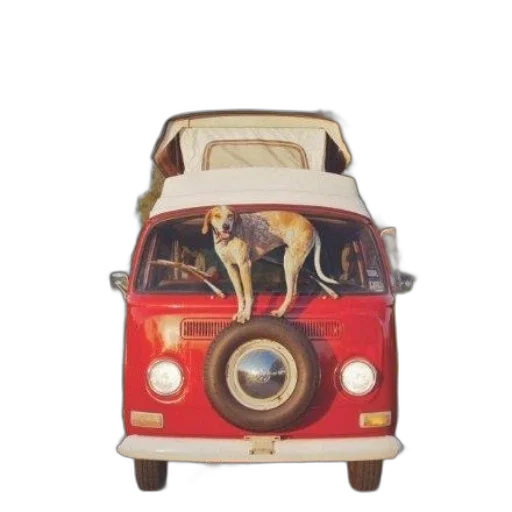 car, animal, furniture, robot transparent PNG cut-out