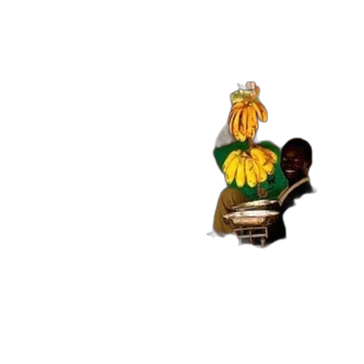 flower, crown, food, umbrella transparent PNG cut-out
