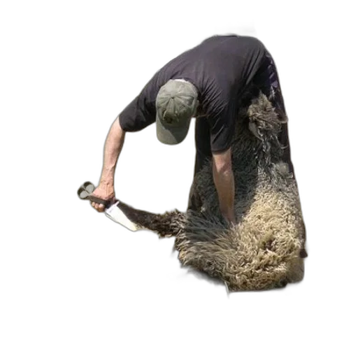 animal, creature, hair, staff transparent PNG cut-out