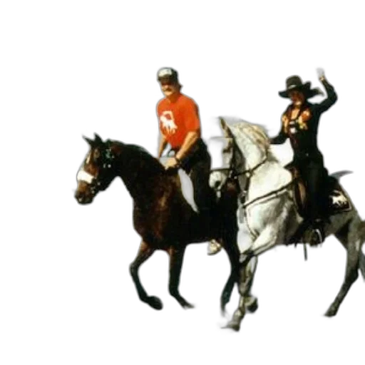 staff, crown, hat, animal transparent PNG cut-out