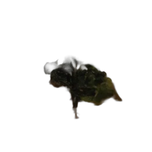 dragon, creature, animal, hair transparent PNG cut-out