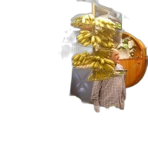 tree, food, crown, furniture transparent PNG cut-out