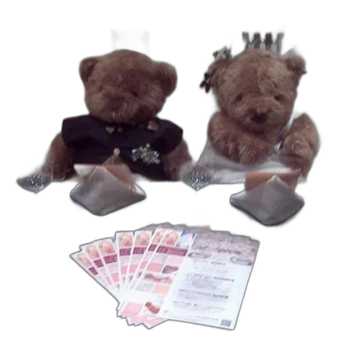 two, teddy, bears, dressed transparent PNG cut-out
