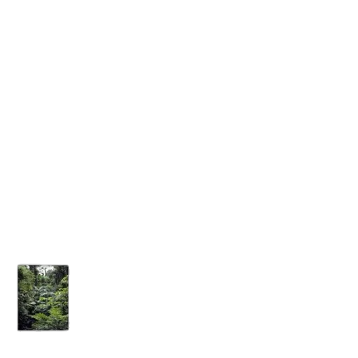tree, animal, robot, staff transparent PNG cut-out