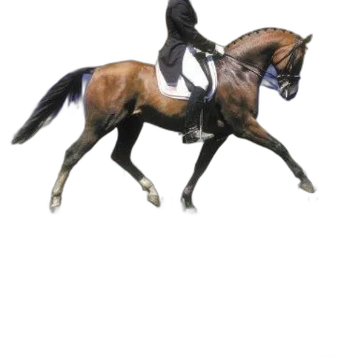 animal, creature, staff, mask transparent PNG cut-out
