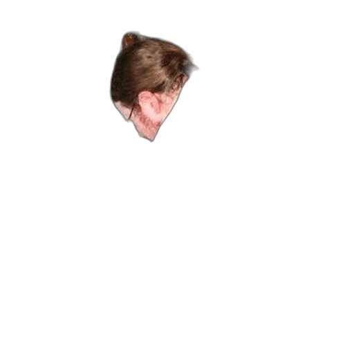 hair, face, creature, hat transparent PNG cut-out