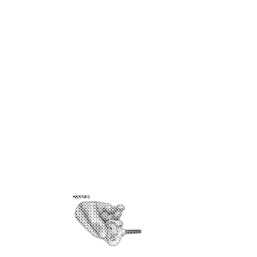 jewelry, umbrella, crown, shoes transparent PNG cut-out
